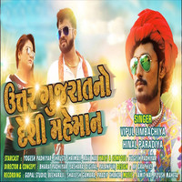 UTTAR GUJRAT NO DESI MAHEMAN