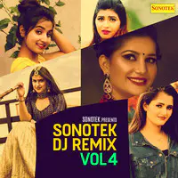 Sonotek DJ Remix Vol 4