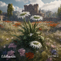 Edelweiss