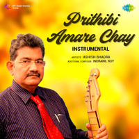 Prithibi Amare Chay - Instrumental