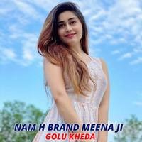 Nam H Brand Meena Ji