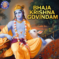 Bhaja Krishna Govindam