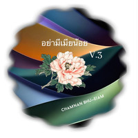 อย่ามีเมียน้อย, Vol. 3