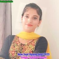New Saal Meena Geet