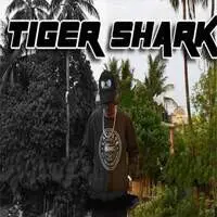 TIGER SHARK