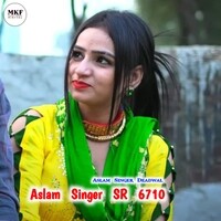 Aslam Singer SR 6710