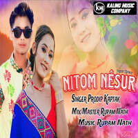 Nitom Nesur