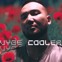Vybe Cooler