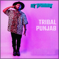 Tribal Punjab