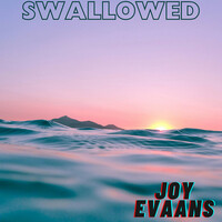 Swallowed