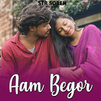 Aam Begor