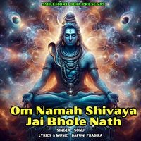 Om Namah Shivaya Jai Bhole Nath