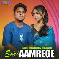 Sari Aamrege