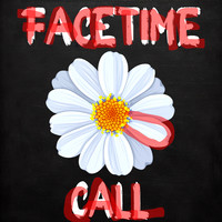 FaceTime Call