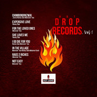 Hot Drop Records, Vol 1