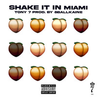 Shake It in Miami