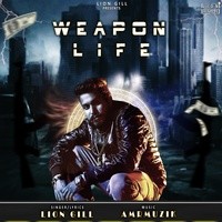 Weapon Life