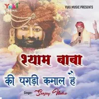 Shyam Baba Ki Pagdi Kamaal Hai