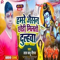 Hamare Jaishan Chhodi Milatau Dulhava