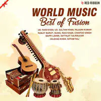 World Music - Best Of Fusion