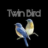 Twin Bird