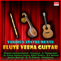 Flute Veena Guitar