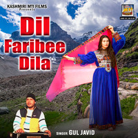 Dil Faribee Dila