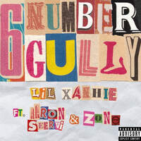 6 Number Gully (feat. Aaron Seervi, Zone)