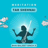 Meditation - Tar Shehnai