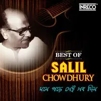 Mone Pade Sei Sab Din - Best Of Salil Chowdhury