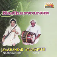 Nadhaswaram (Jayashankar - Valayapatti - III)