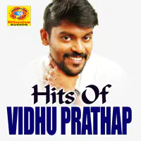 Hits Of Vidhu Prathab