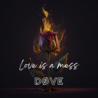 Love Is a Mess