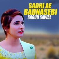 Sadhi Ae Badnasebi