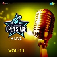 Open Stage Live - Vol 11