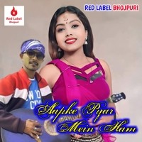 Aapke Pyar Mein Hum