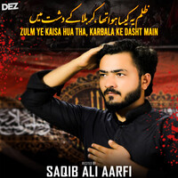 Zulm Ye Kaisa Hua Tha Karbala Ke Dasht Main