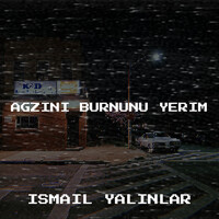 Agzini Burnunu Yerim