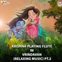 Krishna Playing Flute In Vrindavan (Relaxing Music) Pt.2