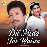 Dil Meda Tor Waisen