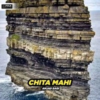 Chita Mahi