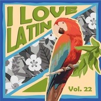 I Love Latin, Vol. 22