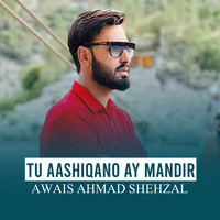 Tu Aashiqano Ay Mandir