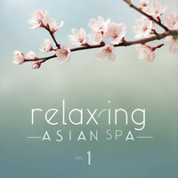 Relaxing Asian Spa, Vol. 1