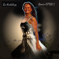 La Andaluza - Remix Opus 1