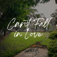 Can't Fall in Love