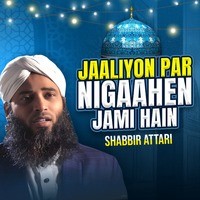 Jaaliyon Par Nigaahen Jami Hain