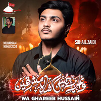 Wa Ghareeb Hussain (Muharram Nohay 2024)