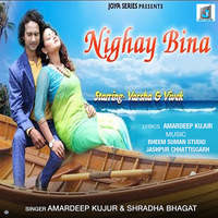 Nighay Bina