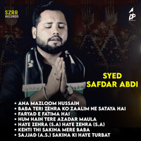 Syed Safdar Abdi Nohay